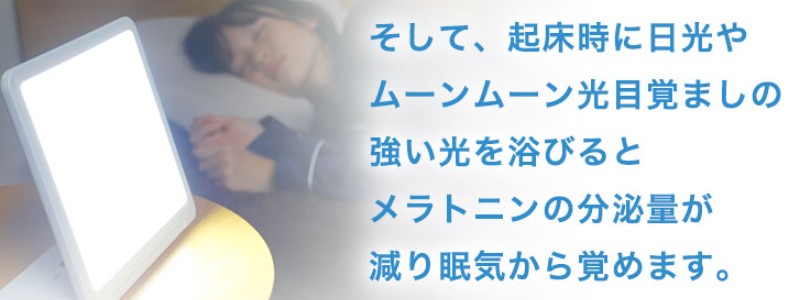 ���Ő��������y���ڊo�܂����v �g�g�m�G���C�g�v���[���z���T�C�g